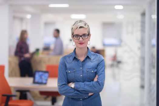 portrait of young business woman at modern startup office interior, team in meeting in background