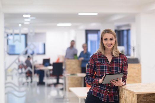 portrait of young business woman at modern startup office interior, team in meeting in background