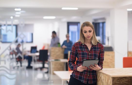 portrait of young business woman at modern startup office interior, team in meeting in background