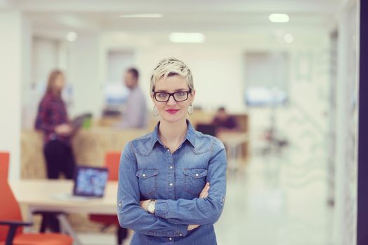 portrait of young business woman at modern startup office interior, team in meeting in background