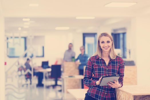 portrait of young business woman at modern startup office interior, team in meeting in background