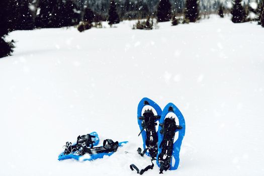 Winter hiking in the mountains  Blue snowshoes in fresh show with snowflakes around them on snowy winter day