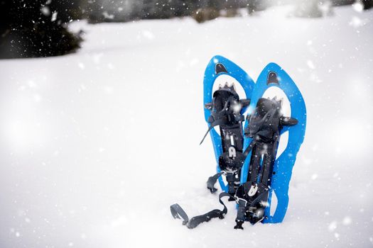 Winter hiking in the mountains  Blue snowshoes in fresh show with snowflakes around them on snowy winter day