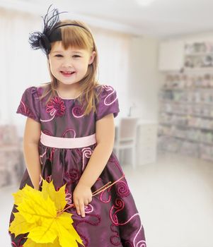 Nice little girl dressed in brown dress. She is holding a bouquet of maple leaves.In the rooms, with a Desk and long shelves on which stand toys.