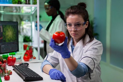 Scientist researcher woman analyzing organic tomato during pharmaceutical experiment working in biology hospital laboratory. Chemist doctor discovering modified genetically fruits in lab-grown