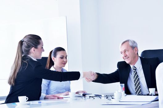 business people  group at a meeting in a light and modern office environment.