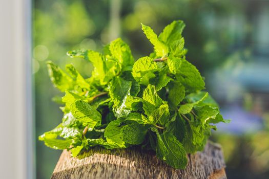 Fresh mint on wooden table copy space. Selective focus.