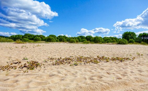 Wild sandy beach near the river on a fine summer day. Only blue sky, sand and a quiet river. Russia, Kostroma region, Kozionikha village. The concept of tourism, native land.