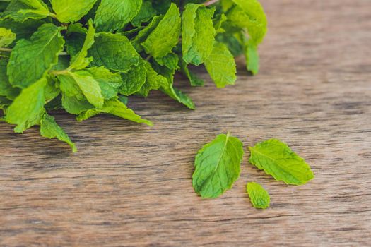 Fresh mint on wooden table copy space. Selective focus.