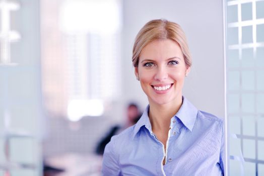 portrait of Young pretty business woman work on  notebook computer  in the bright modern office indoors