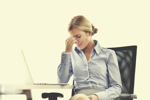 portrait of Young pretty business woman work on  notebook computer  in the bright modern office indoors