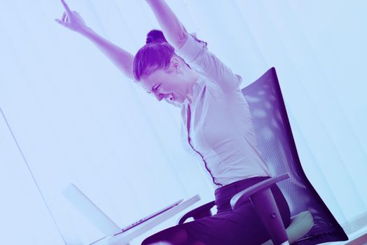 portrait of Young pretty business woman work on  notebook computer  in the bright modern office indoors