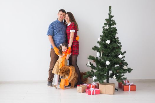 Pet, holidays and festive concept - Family with dog are standing near christmas tree