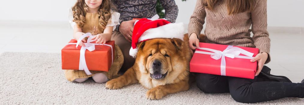 Pet, holidays and festive concept - Family with dog are lying on floor near christmas tree