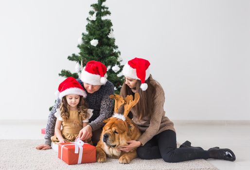 Pet, holidays and festive concept - Family with dog are lying on floor near christmas tree