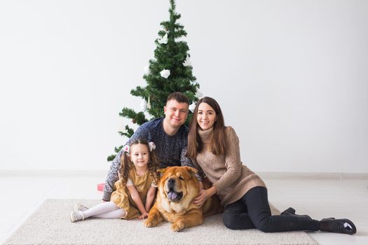 Pet, holidays and festive concept - Family with dog are sitting on floor near christmas tree