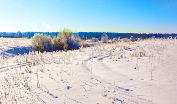 Beautiful winter landscape in Russia, Moscow region. The concept of Christmas, winter outdoor recreation.