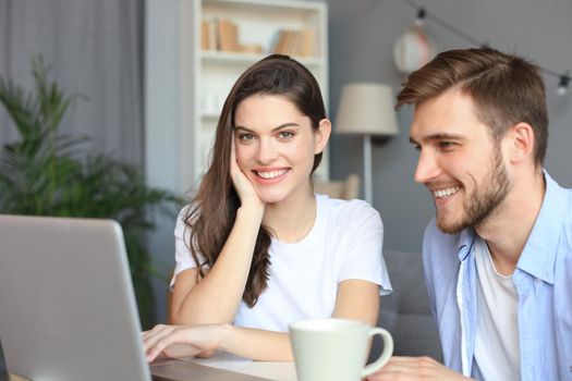 Couple pointing while working together on laptop