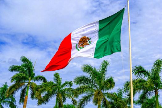 The flag of Mexico develops in the wind against a blue sky and tropical trees. United States of Mexico.