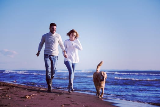 Couple Running On The Beach Holding Their Hands with dog On autmun day