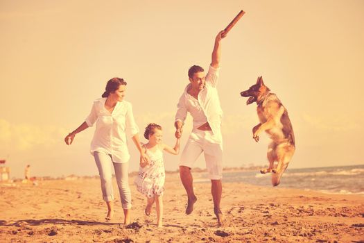 happy young family in white clothing have fun and play with beautiful dog at vacations on beautiful beach