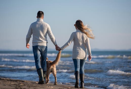 Couple Running On The Beach Holding Their Hands with dog On autmun day