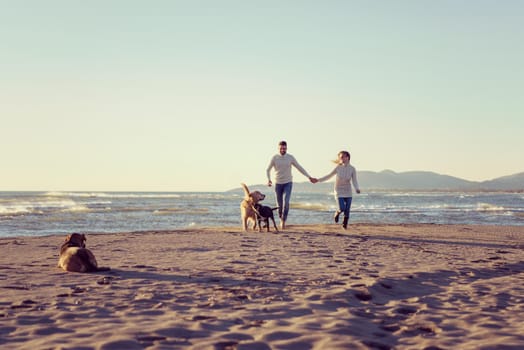 Couple Running On The Beach Holding Their Hands with dog On autmun day