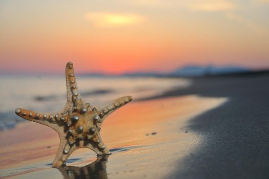 summer beach sunset with star on beach representing freedom freshnes and travel concept