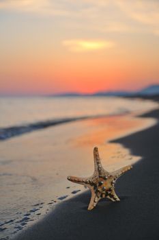 summer beach sunset with star on beach representing freedom freshnes and travel concept