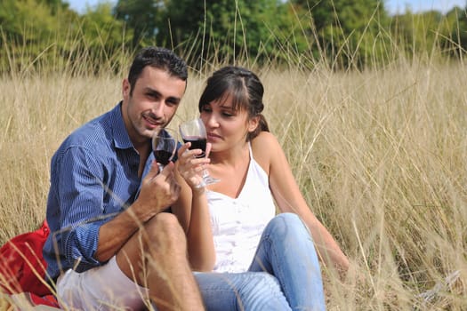 happy young couple enjoying  picnic on the countryside in the field  and have good time