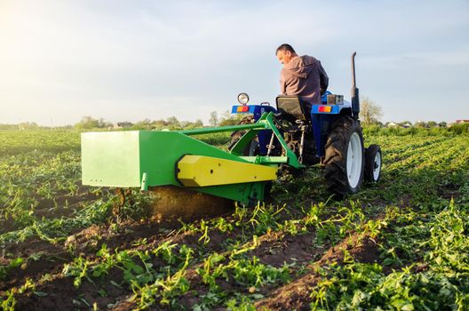 Farmer digs out a crop of potatoes with a digger. Harvest first potatoes in early spring. Farming and farmland. Harvesting mechanization in developing countries. Agro industry and agribusiness.