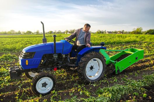 A farmer on a tractor digs potatoes with a digger. The use of modern technology on the farm. Free people from heavy land work. Farming and farmland. Countryside. Food production