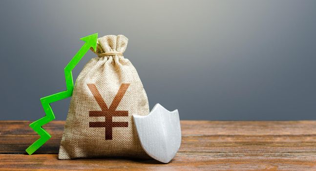 Yen Yuan money bag with a shield and a green arrow up. Safety security of investments, financial system stability. Increasing maximum amount of guaranteed deposits insurance compensation.