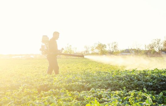 Farmer processing a potato plantation with a sprayer to protect from insect pests and fungal diseases. Agriculture and agribusiness, agricultural industry. Reduced crop threat. Plant rescue.