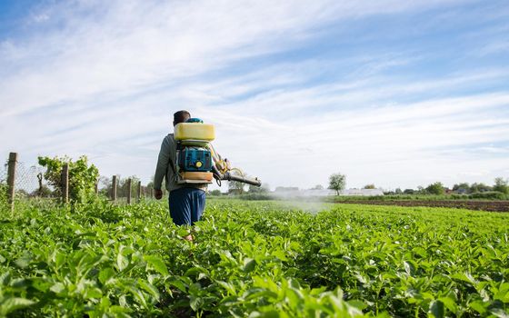 Farmer with a mist sprayer walks through farm field. Protection of cultivated plants from insects and fungal infections. Farming growing vegetables. Use of chemicals for crop protection in agriculture.