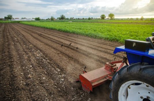 A tractor with a milling machine is cultivating a farm field. Loose crushed moist soil after cultivating with a cultivator. Loosening surface, land cultivation. Farming. Use agricultural machinery