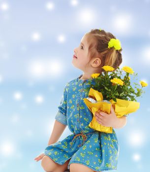 Pensive little girl in a short summer robe, holding a bouquet of yellow flowers.Gentle blue Christmas background with white snowflakes abstract.
