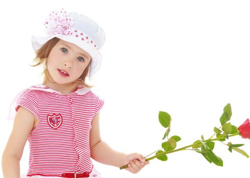 Gentle little girl in pink dress and panama with a white bow holding a rose flower.Close-up.Isolated on a white background.