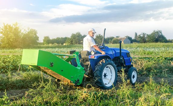 A adult caucasian farmer driver on a farm tractor drives to the field to harvest potatoes. Agro industrial technologies. Growing food cultivation and agribusiness. Harvesting campaign. Farm work.