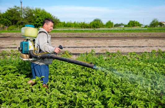 Male farmer with a mist sprayer processes potato bushes with chemicals. Control of use of chemicals. Farming growing vegetables. Protection of cultivated plants from insects and fungal infections.