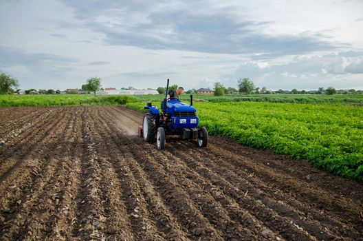 Farmer on tractor cultivates farm field. Milling soil, crushing and loosening ground before cutting rows. Use of agricultural machinery and to simplify and speed up work. Plowing field.