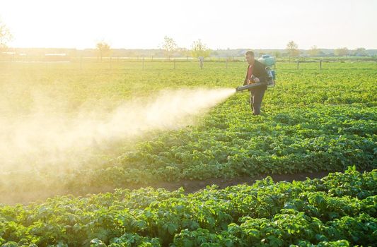 Farmer processing a potato plantation with a sprayer to protect from insect pests and fungal diseases. Reduced crop threat. Plant rescue. Agriculture and agribusiness, agricultural industry.