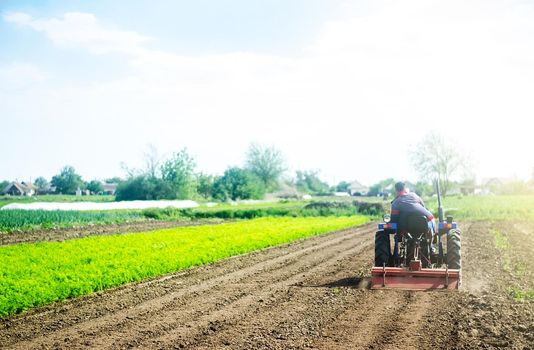 A farmer on a tractor cultivates a field before a new planting. Loosening the surface, cultivating land for further planting. Soil milling, crumbling and mixing. Agroindustry, farming. Growing food