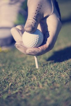 golf player placing ball on tee. beautiful sunrise on golf course landscape  in background