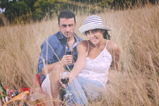 happy young couple enjoying  picnic on the countryside in the field  and have good time