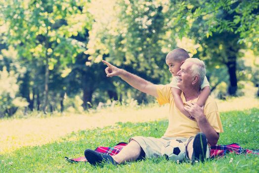 happy grandfather and child have fun and play in park on beautiful  sunny day