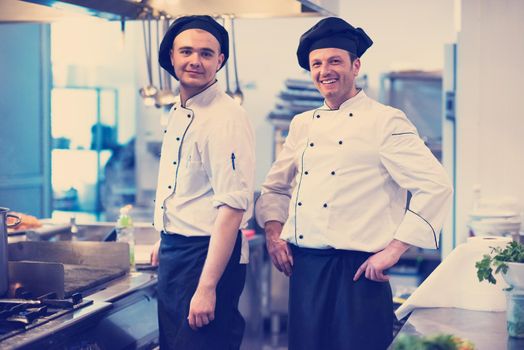 Portrait of two chefs standing together in commercial kitchen at restaurant