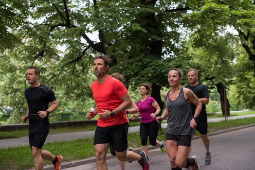 group of healthy people jogging in city park, runners team on morning training