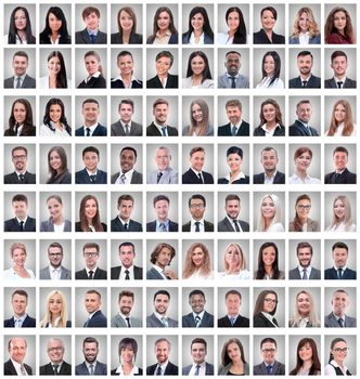 portraits of a group of successful employees isolated on white . photo collage