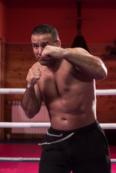 professional kickboxer with hands in martial arts position training for the fight in the training ring